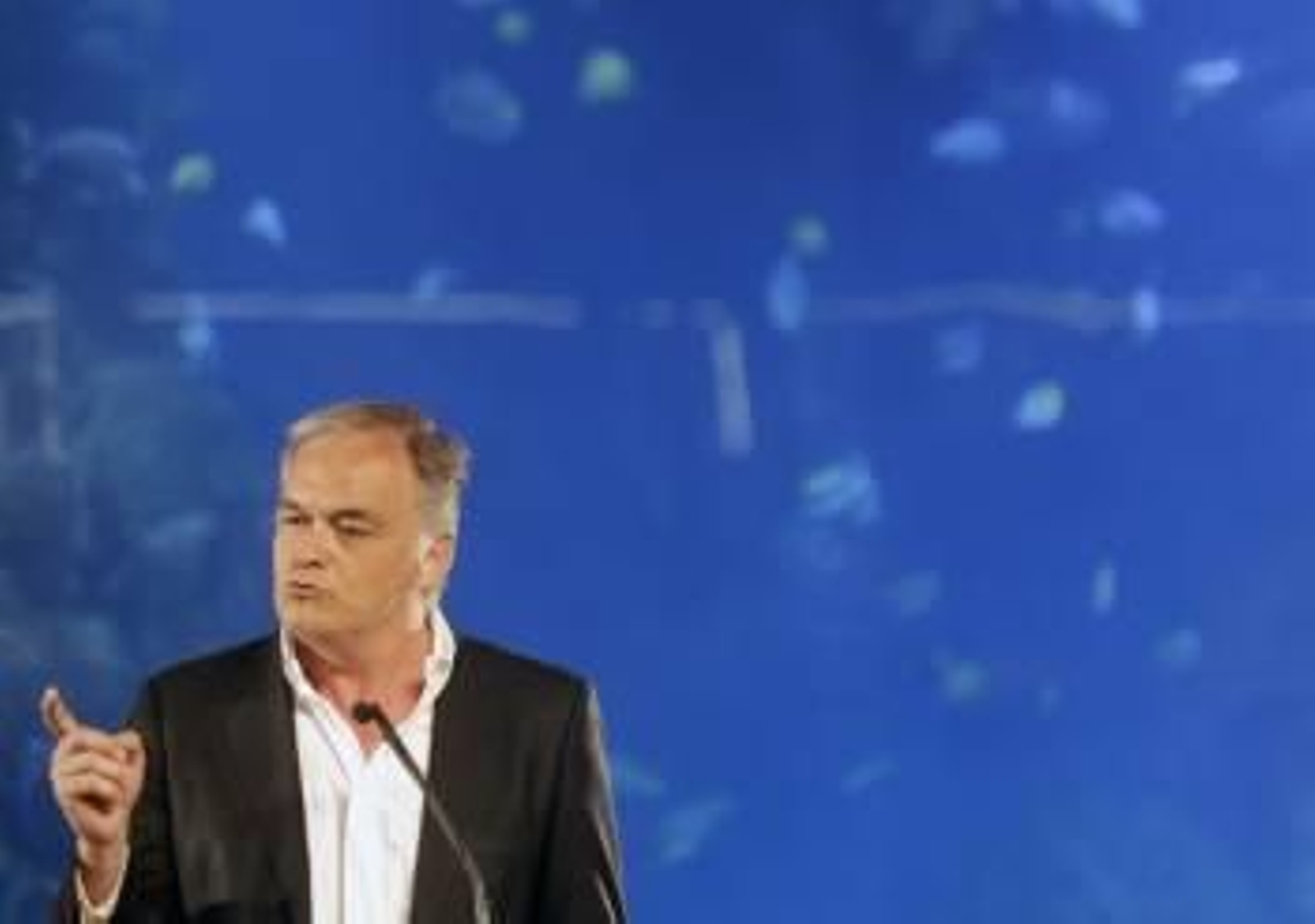 El vicesecretario de Estudios y Programas del PP, Esteban Gonzalez Pons, en su intervención en Valencia. (Foto: J. CÁRDENAS)