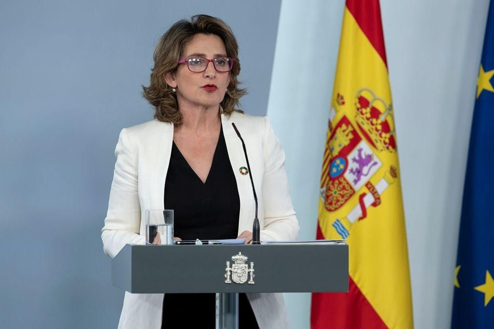 La ministra para la Transición Ecológica y Reto Demográfico, Teresa Ribera, ante los medios.