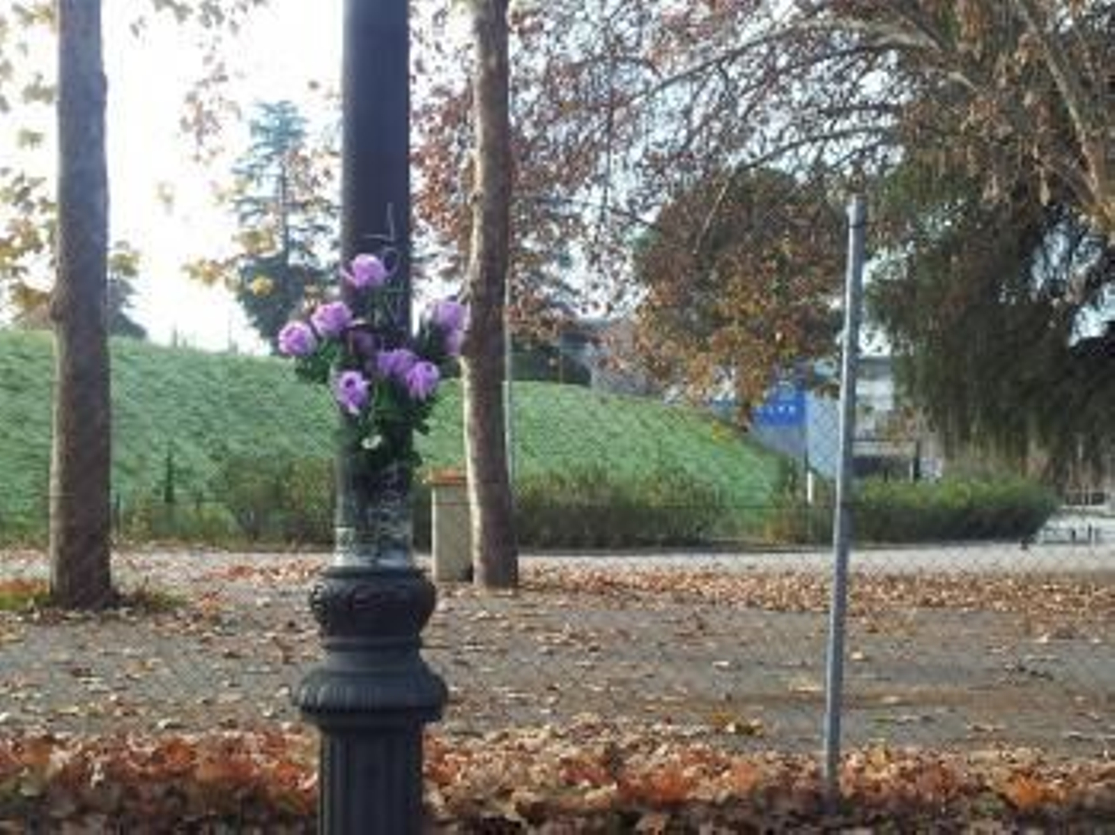 Recinto Madrid Arena.