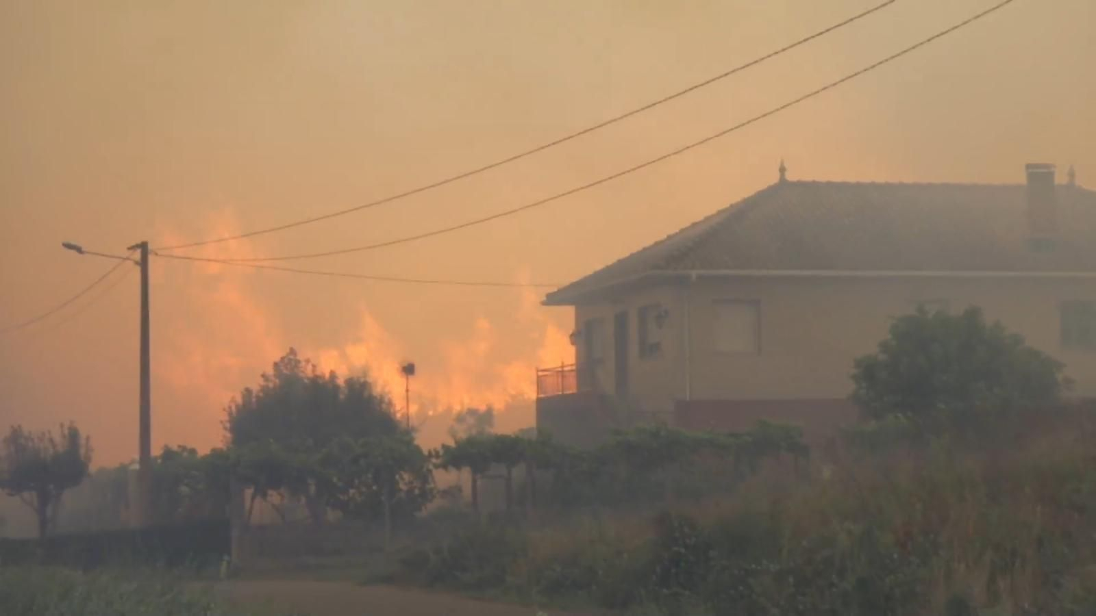 El incendio forestal en Monforte de Lemos _ Alberte10