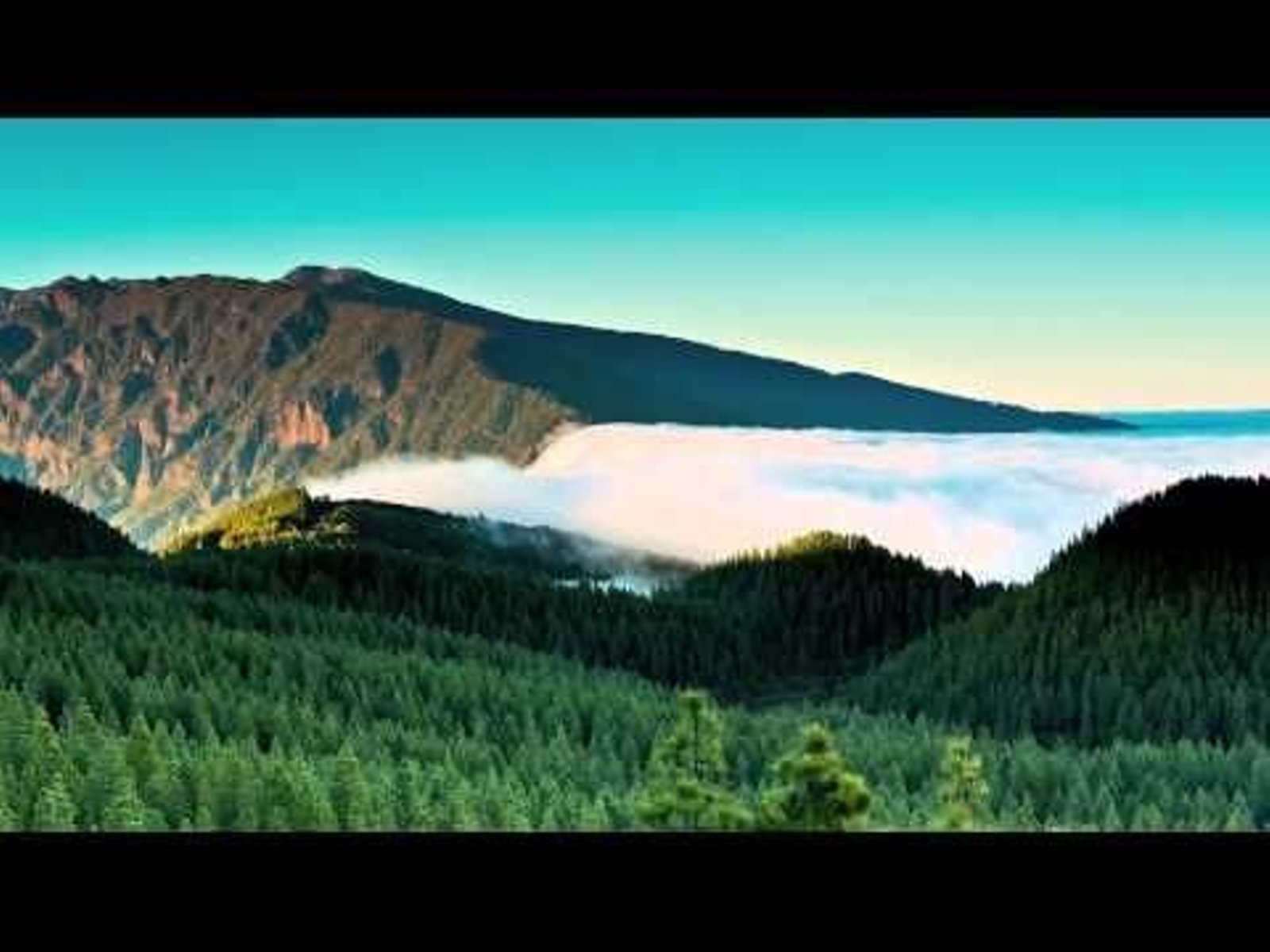 Islas Canarias - La energía que te espera