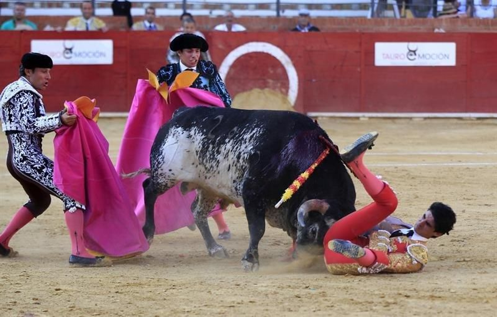 Momento en el que el torero sufre la cogida que más tarde acabaría con su vida.