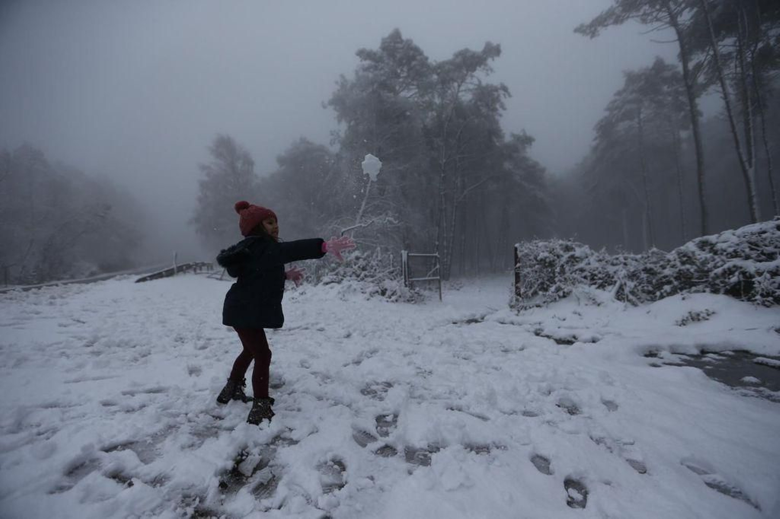 La nieve cubre el Alto de Fontefría // Alberte