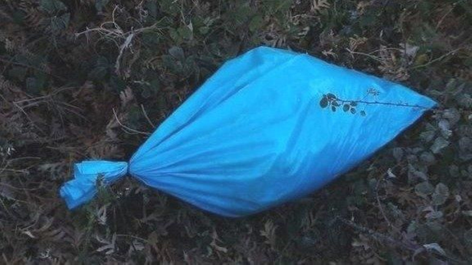 Una de las bolsas con restos de animales. Protección Civil las halló en un monte alejado de las viviendas.