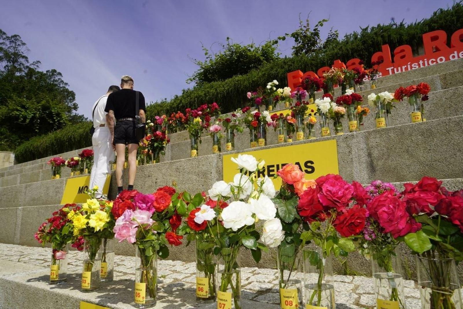 Exposición de rosas por parroquias ayer en Mos.