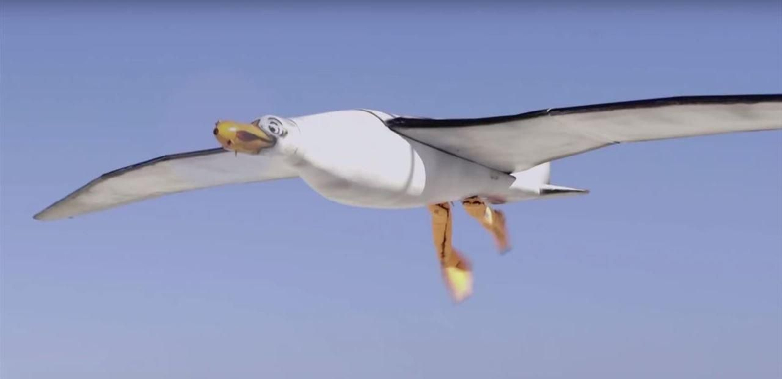 Un 'drone' con forma de gaviota