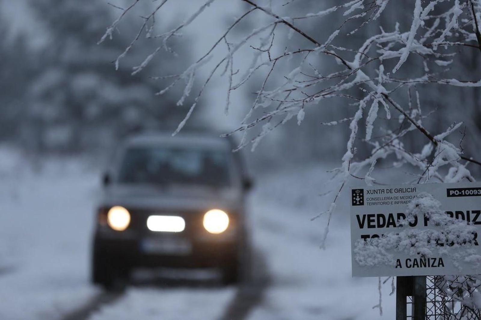 La nieve cubre el Alto de Fontefría // Alberte