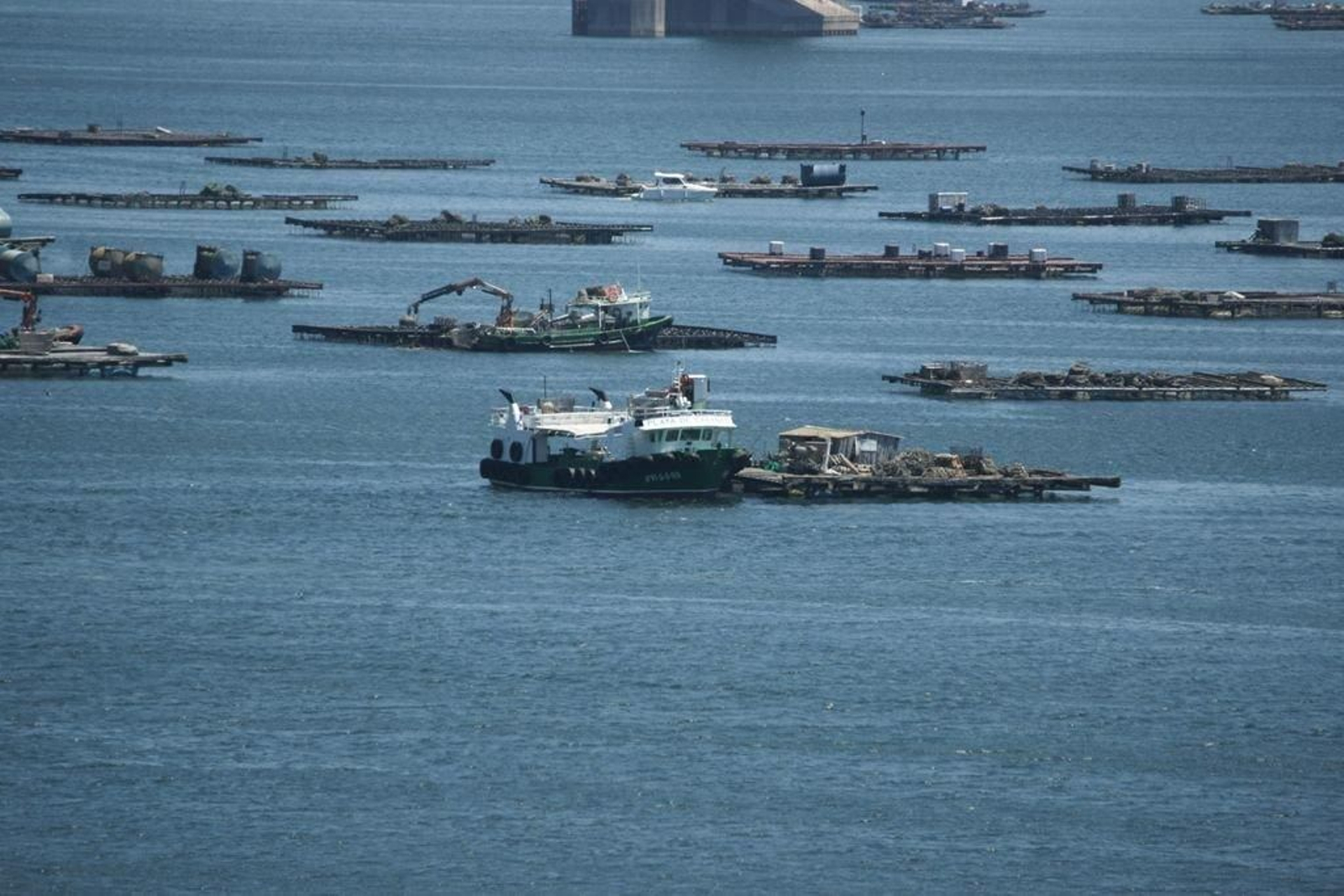 Los cierres de polígonos de bateas se han sucedido las últimas semanas.