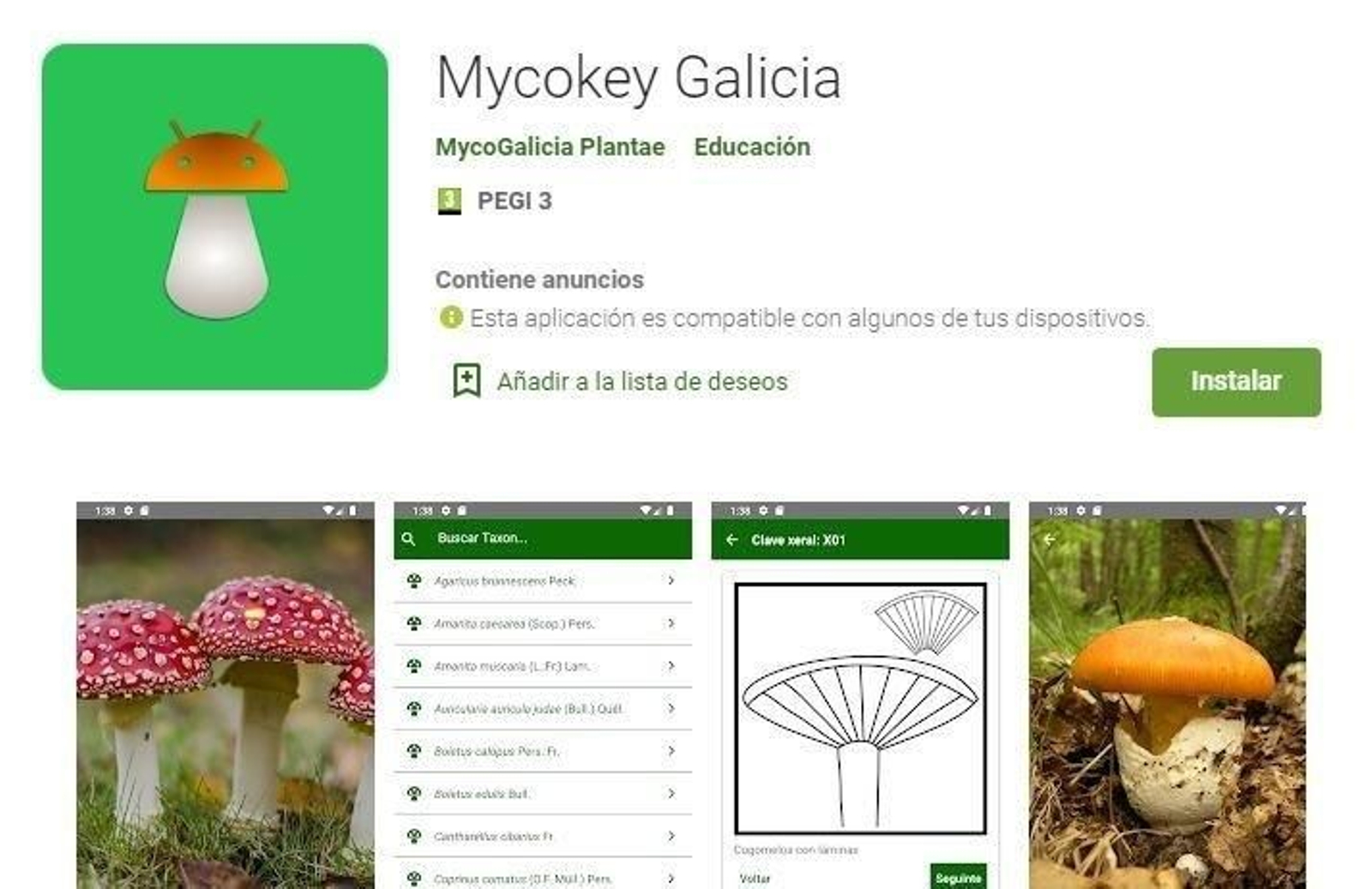 Mycokey Galicia