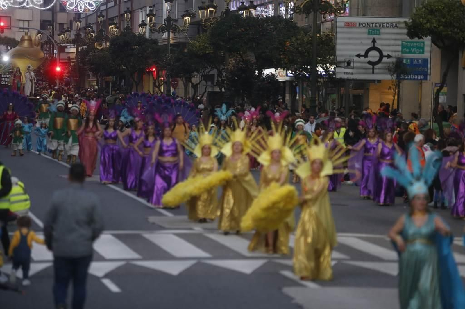 Desfile del Entroido en Vigo 210