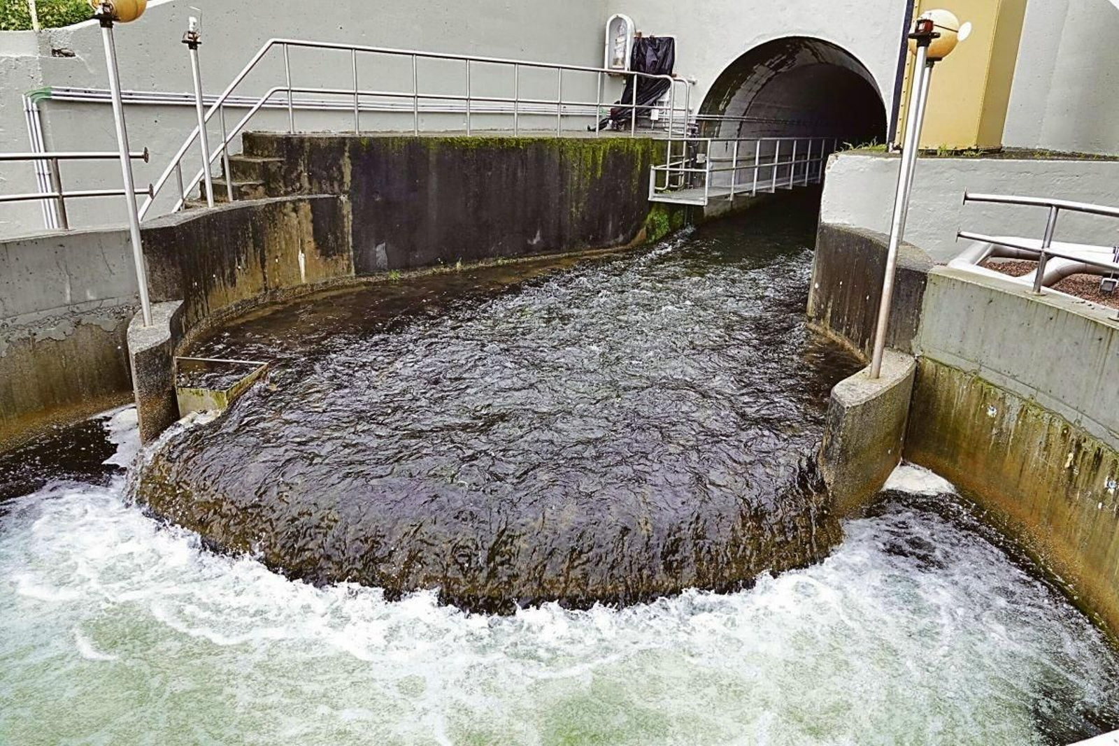 La llegada del suministro de agua a Vigo desde el embalse de Eiras.