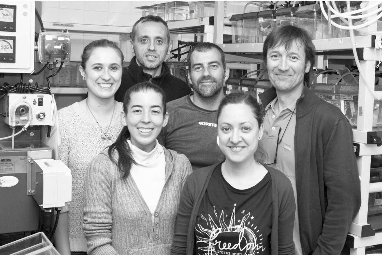 El equipo liderado por Rotllant