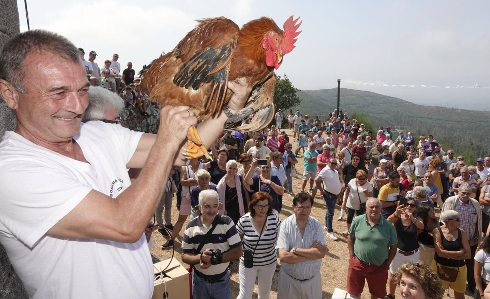 photo_2022-08-25_01-06-12