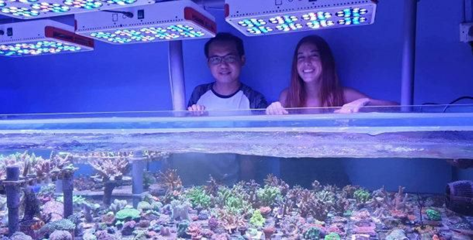 Una bióloga española "reforestará" los ecosistemas coralinos en Malasia