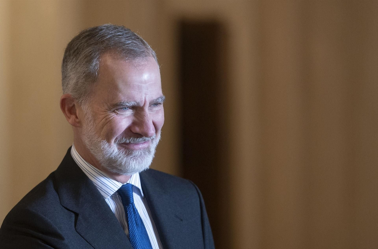 Felipe VI en una imagen de archivo.