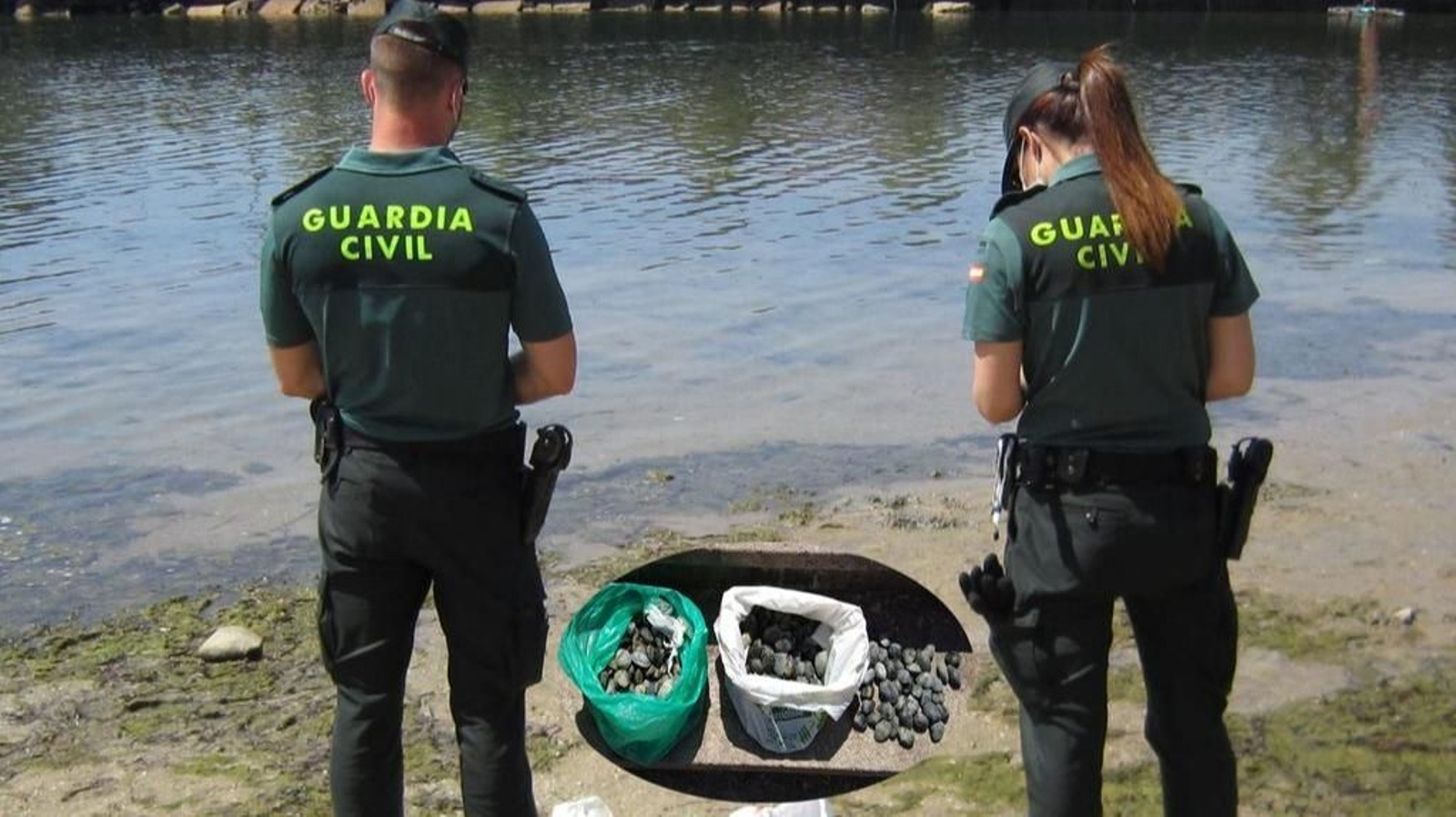 Los agentes intervinieron siete kilos de almejas.