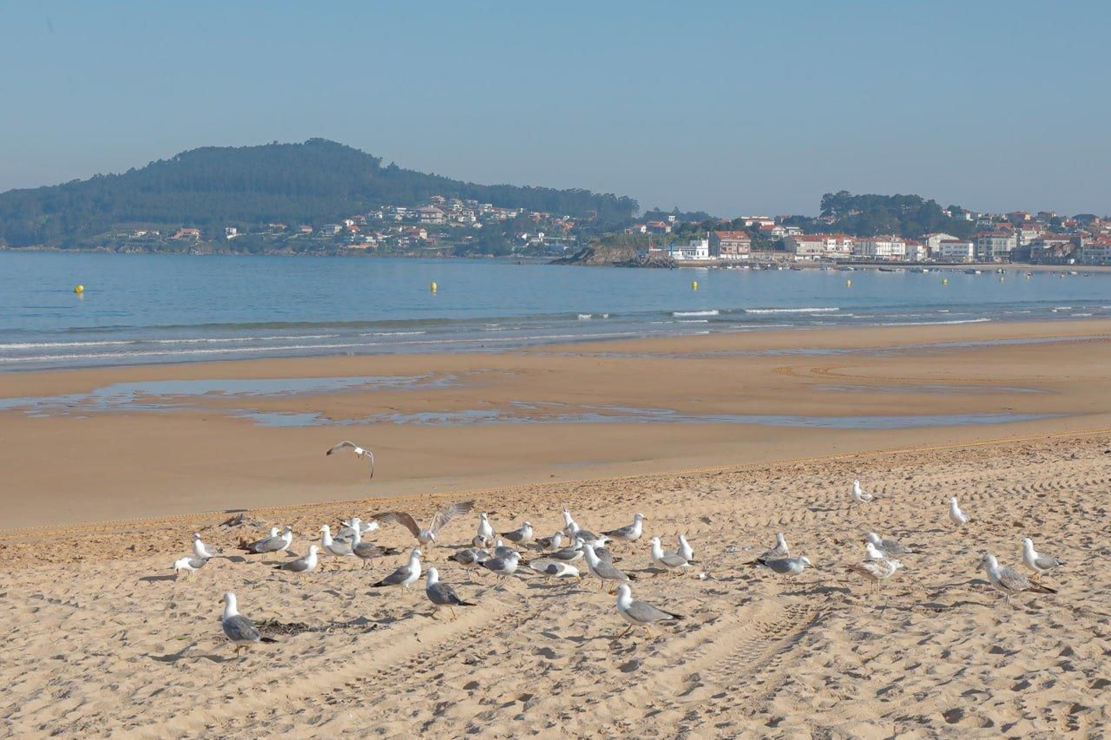 Playa de Panxón. // Jorge Santomé