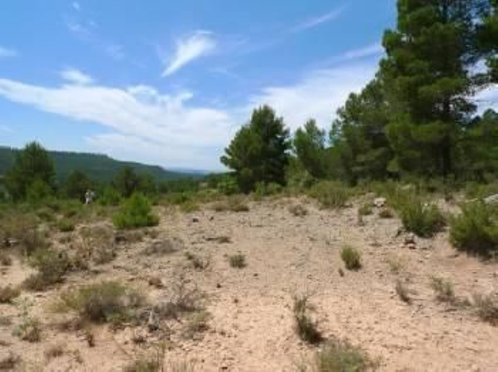 Inmediaciones de Rambla de los Morenos, donde se encontró el yacimiento.
