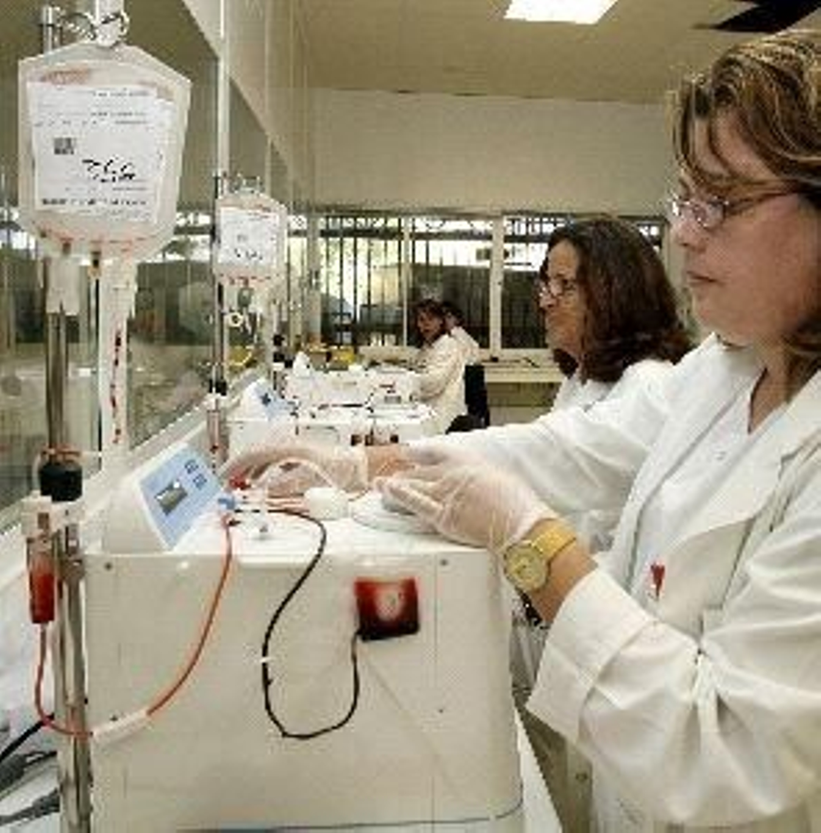 Importante número de donaciones de cordón umbilical.