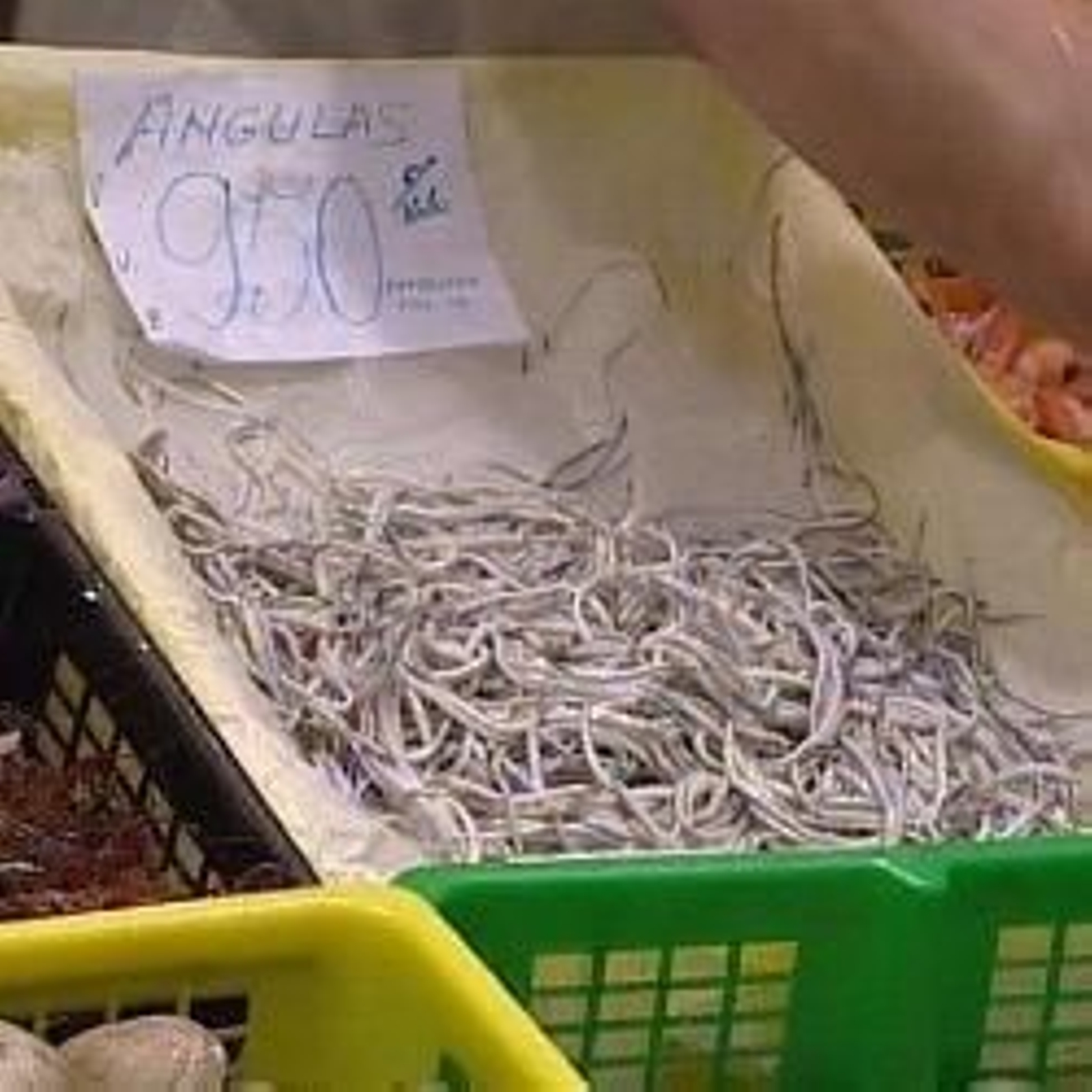 Imagen de una caja de angulas, que se venden a 950 euros el kilo.