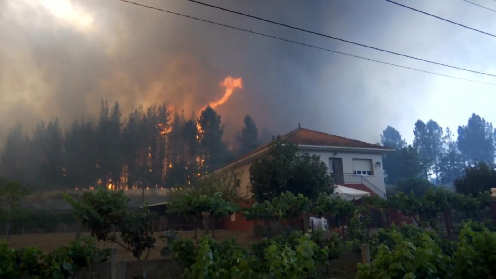 El incendio forestal en Monforte de Lemos _ Alberte04