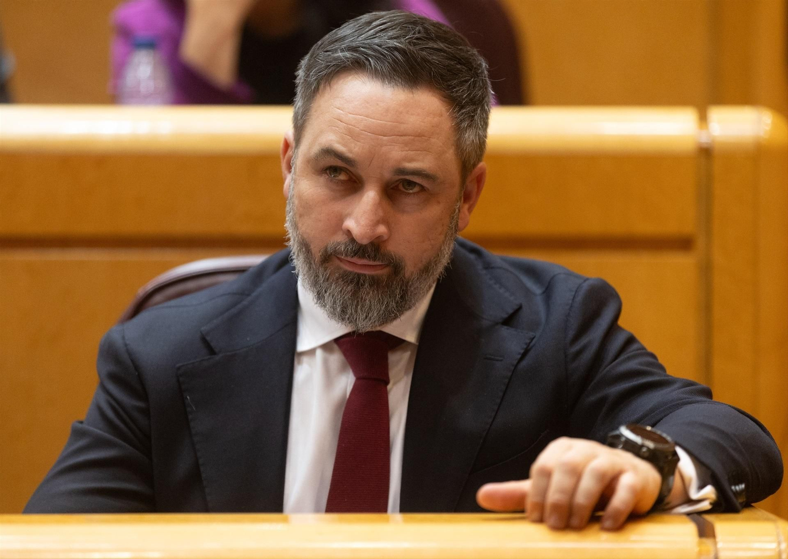 El líder de VOX, Santiago Abascal, en una comparecencia en el Senado. (EP)