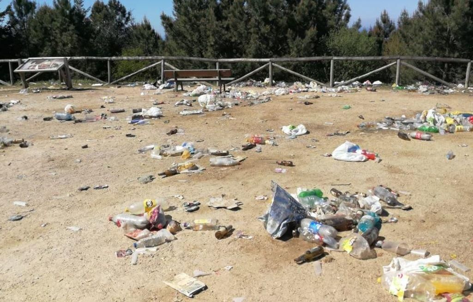 El parque forestal de Beade quedó limpio a mediodía de ayer, tras varias horas de trabajo de las brigadas municipales.