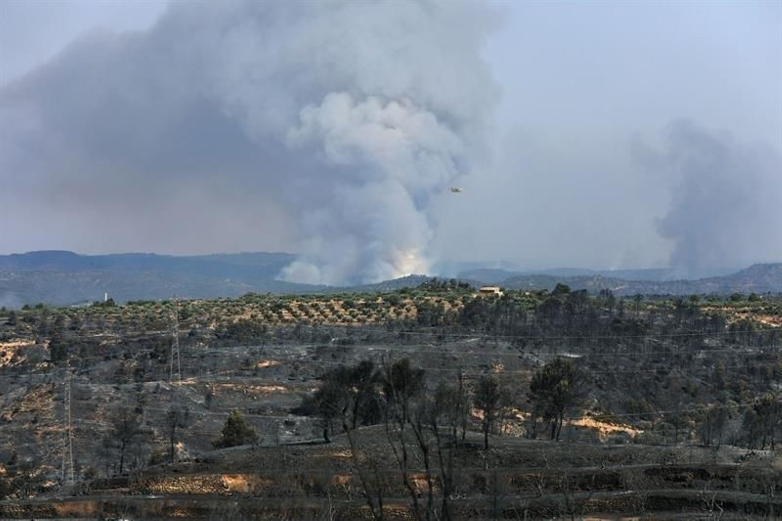 El incendio forestal que quema desde la tarde de ayer en varios términos municipales de la comarca tarraconense de Ribera d'Ebre sigue descontrolado
