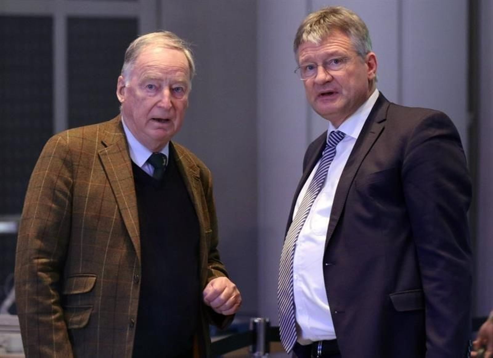 Jörg Meuthen y Alexander Gauland la jefatura bicéfala de Alternativa para Alemania (AfD).
