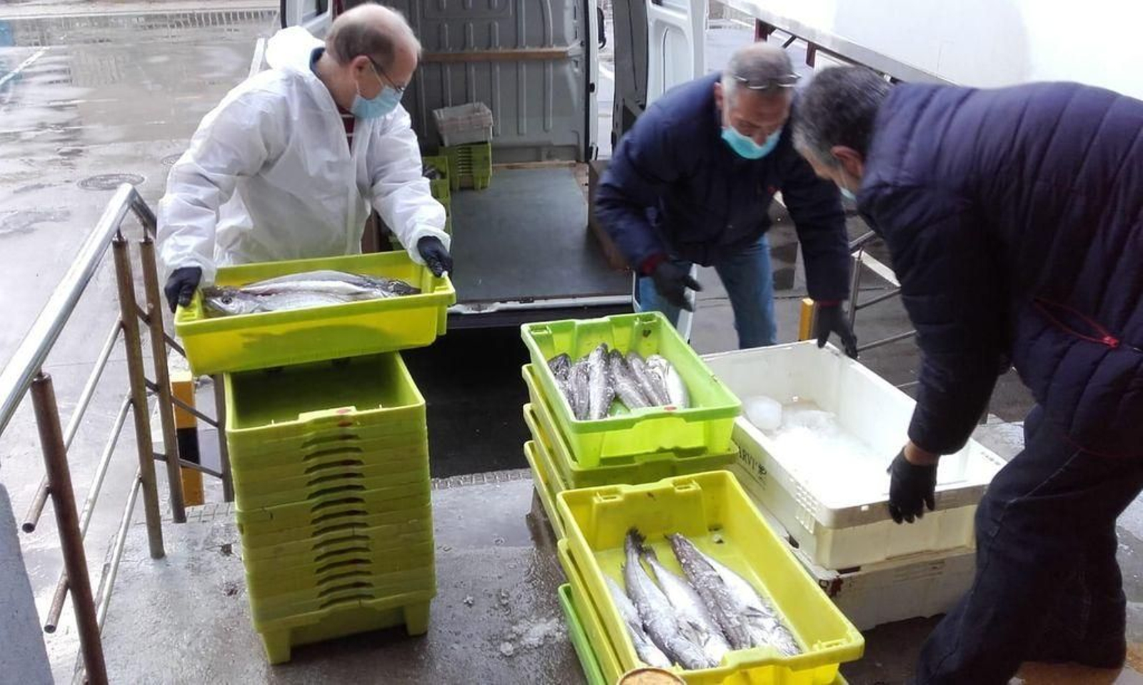 Capturas del buque “Piedras” descargadas ayer en el puerto de Vigo