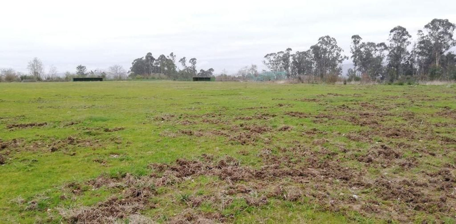 Actual estado de abandono en el que se encuentra el campo de As Prantas.