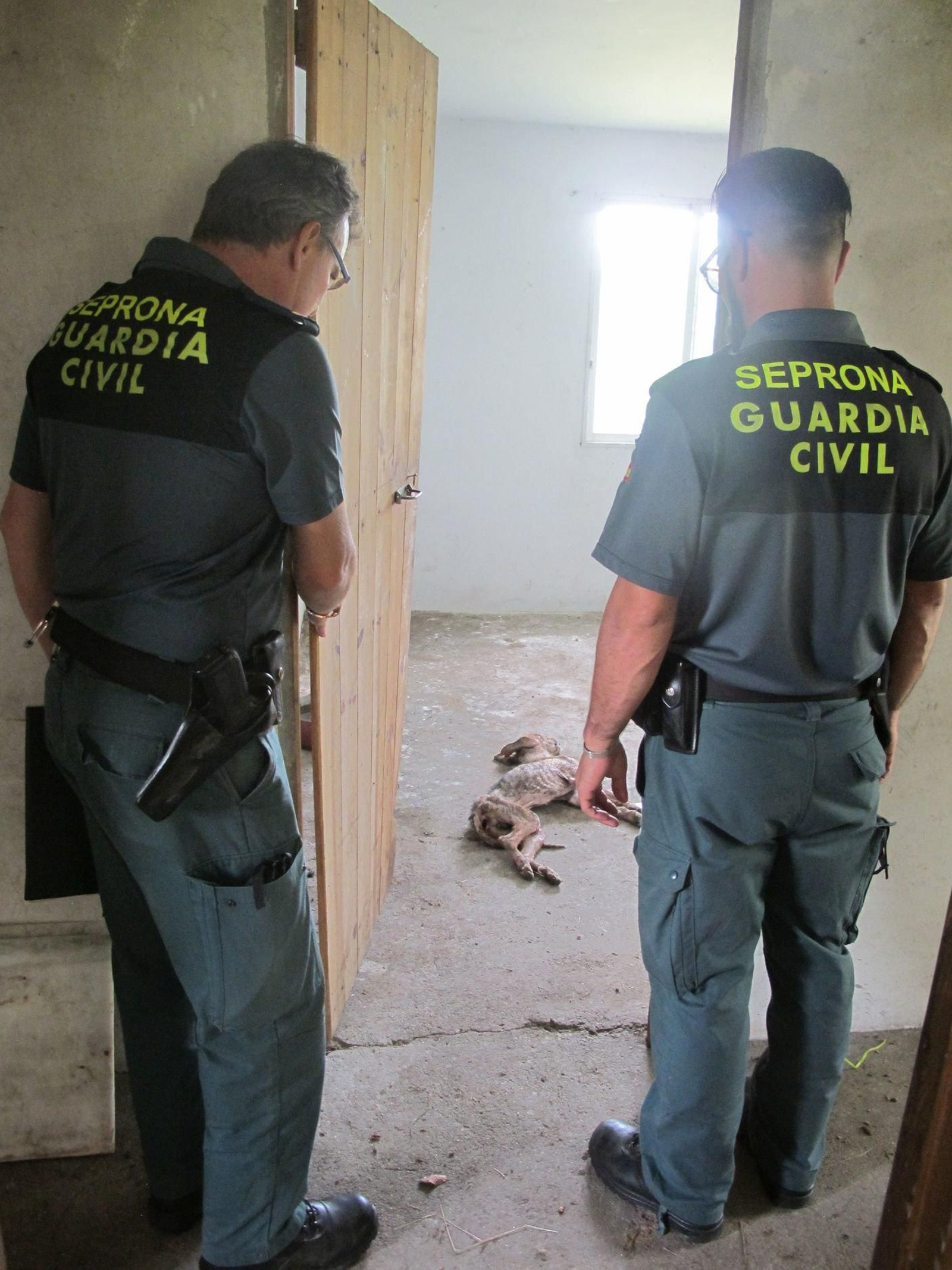Seprona encontró el cadáver un perro en el interior de la vivienda.