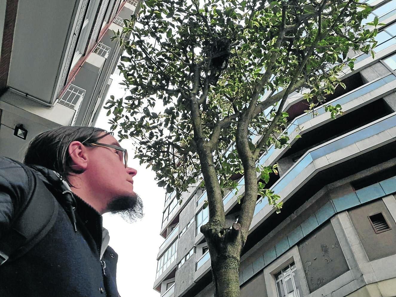 Rubén Rocha, ante uno de los nidos colocados en uno de los árboles de la calle Pizarro  para atraer pájaros