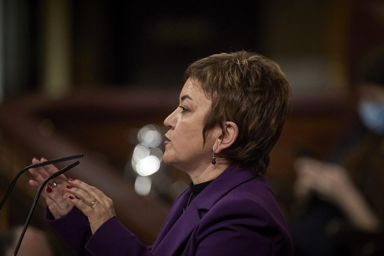 Enn la imagen Lidia Guinart, presidenta de la Comisión de Seguimiento y Evaluación de los Acuerdos del Pacto de Estado en Materia de Violencia de Género del Congreso.