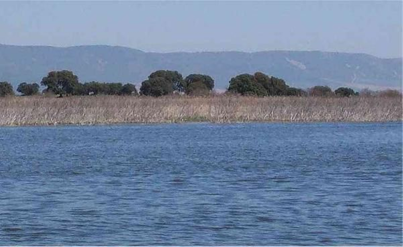 Imagen de las Tablas de Daimiel.