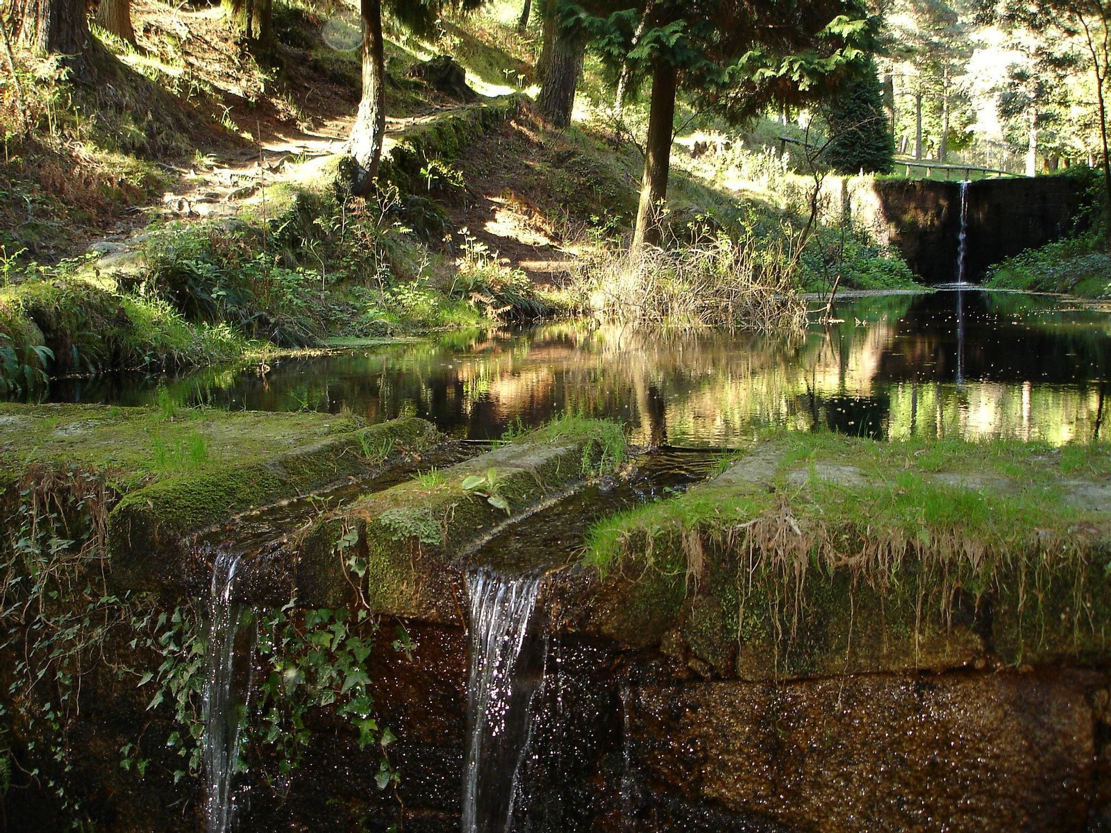 Galicia cuenta con seis parques naturales, entre ellos, el parque natural del Monte Aloia, en el Baixo Miño.