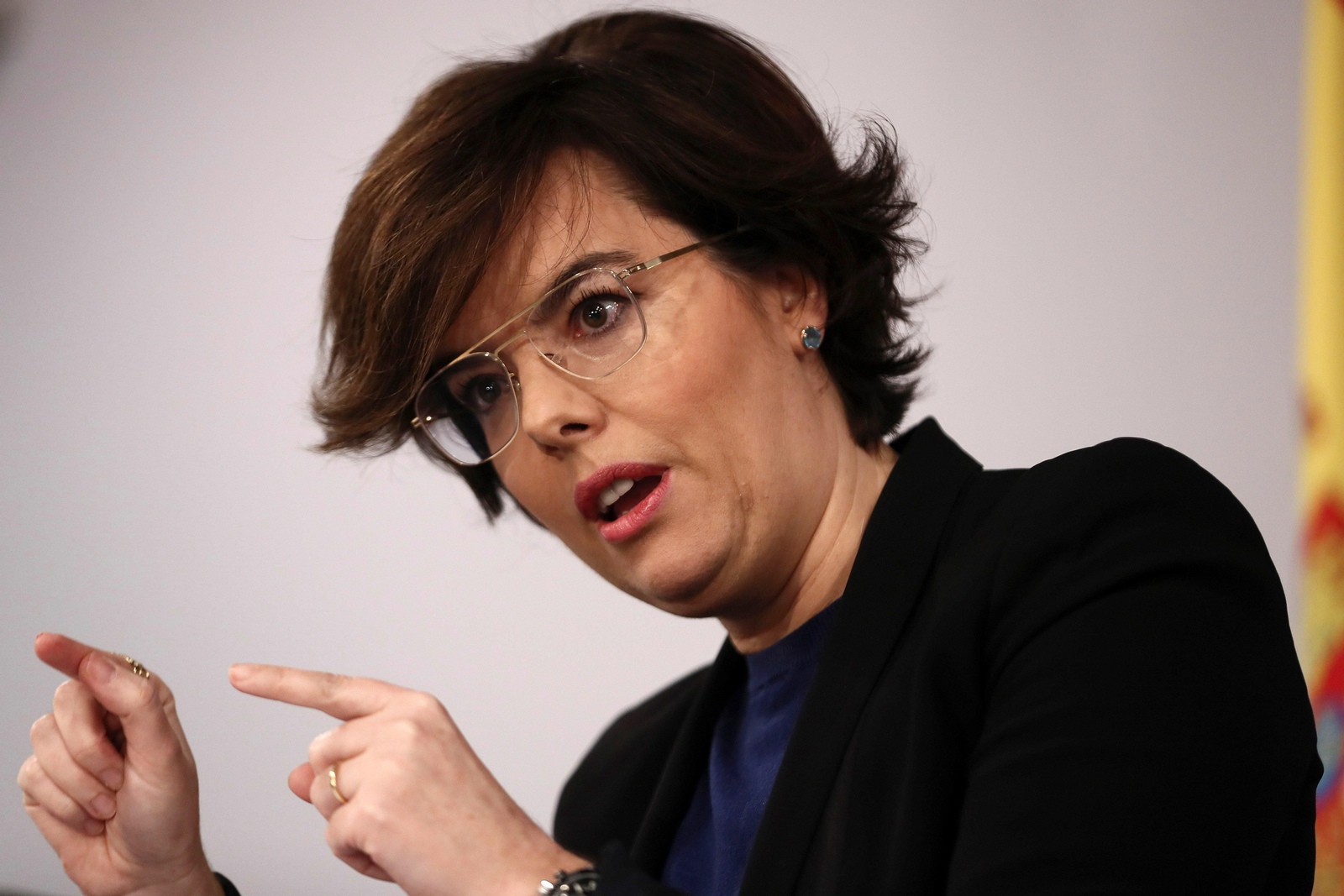 La vicepresidenta del Gobierno, Soraya Sáenz de Santamaría, anunció la decisión del Gobierno.