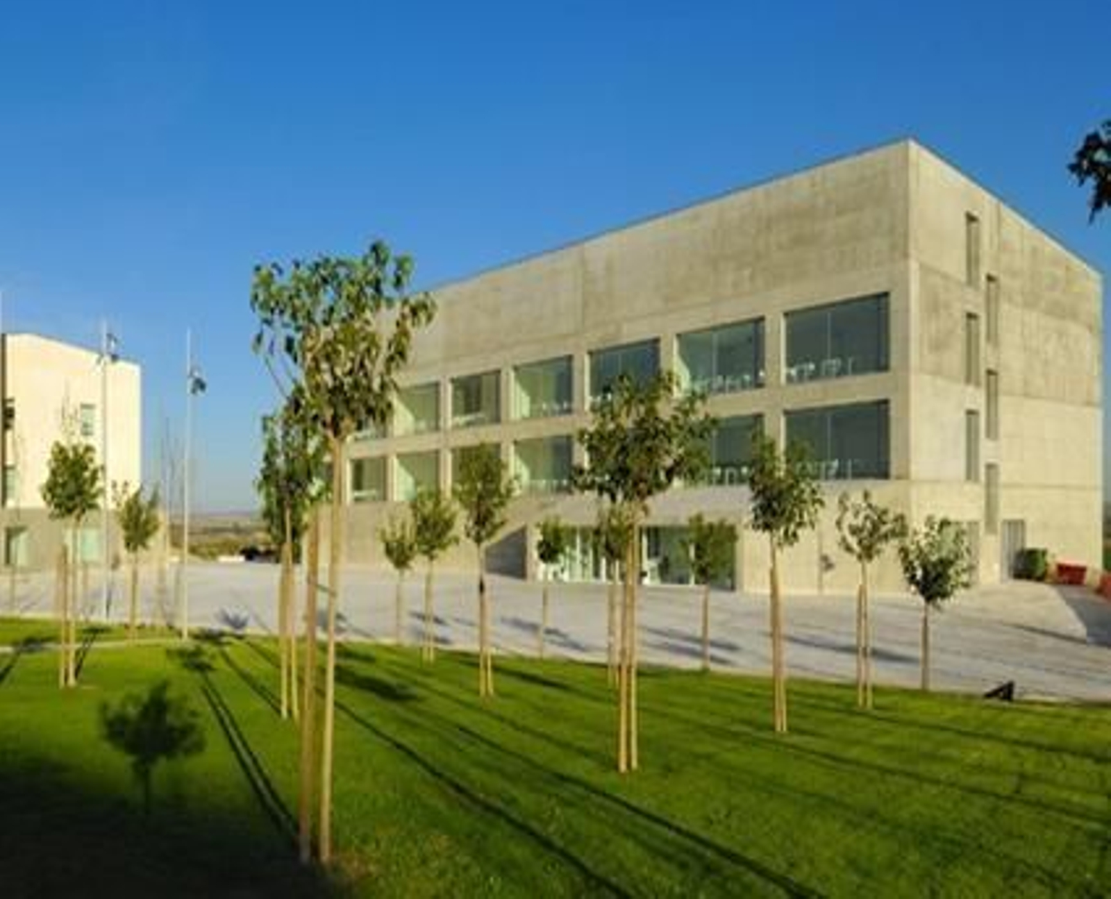 Universidad San Jorge.