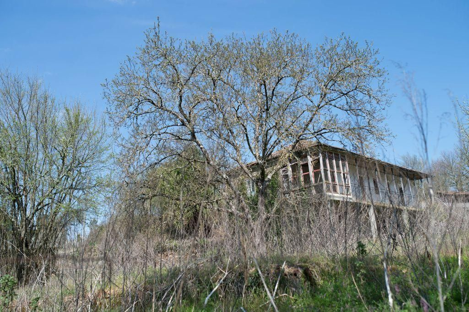 Una casa en abandono, uno de los mayores problemas en el rural, que acusa una falta de propiedades para alquilar.