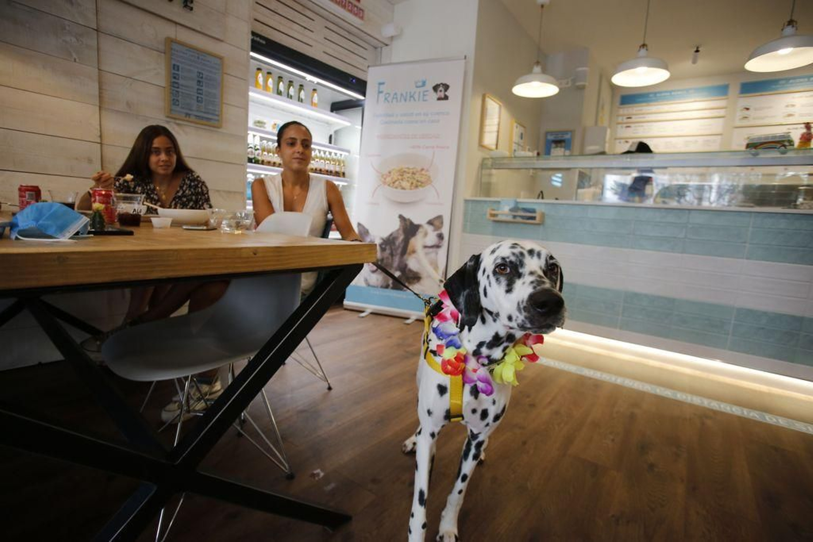Uno de los comensales de cuatro patas que ayer disfrutó de su comida con sus dueñas.