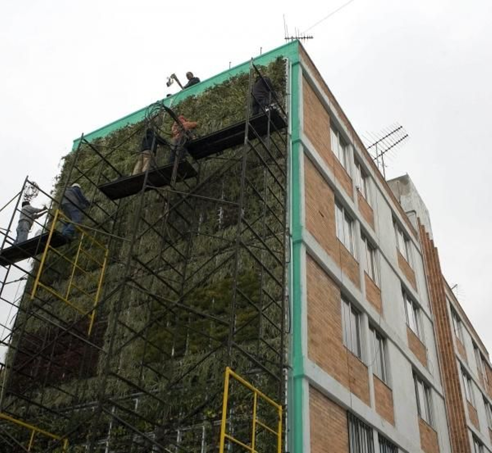 Una de los jardines verticales de México. (Foto: Alex Cruz)