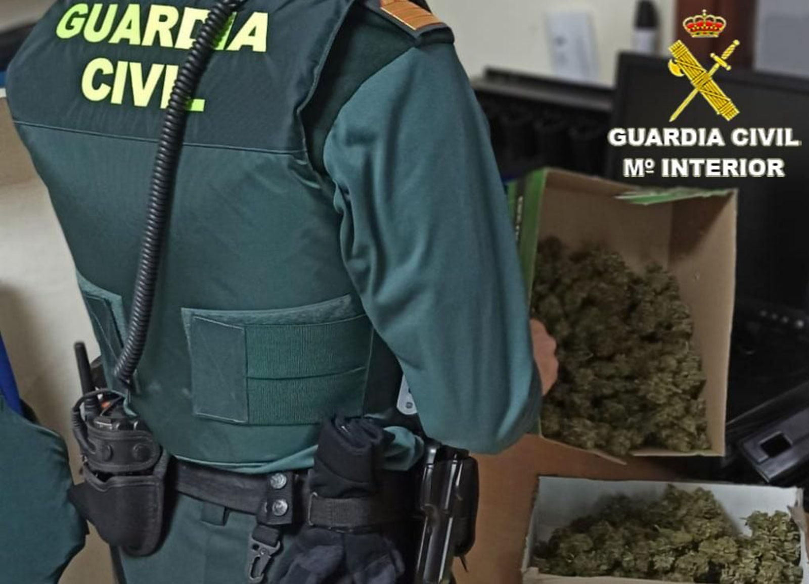 La Guardia Civil intercepta a un vecino de Bueu que intentó darse a la fuga con medio kilo de cogollos de marihuana en el coche