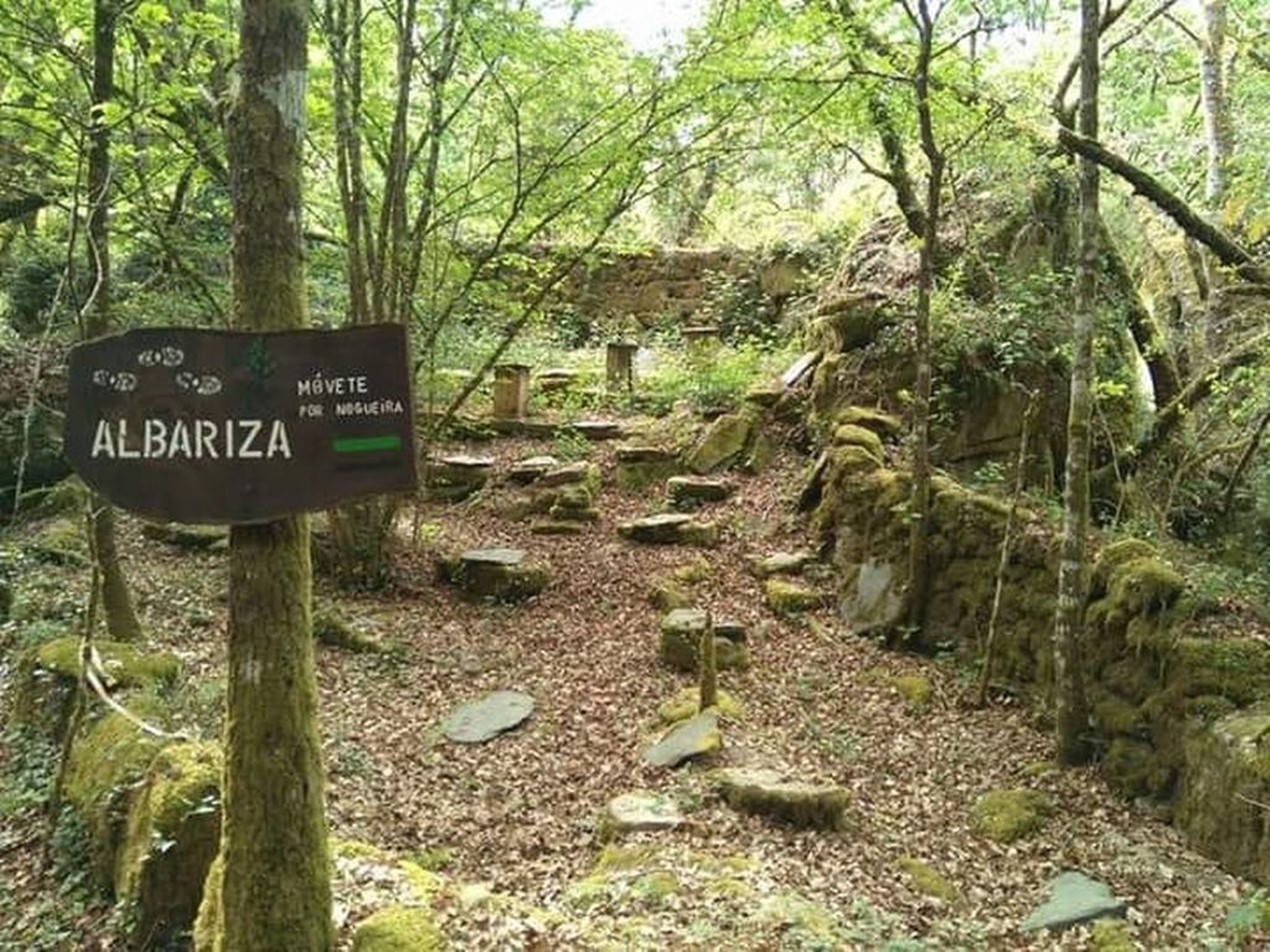 Ruta y albariza recuperada por la asociación Móvete por Nogueira en el corazón de la Ribeira Sacra.