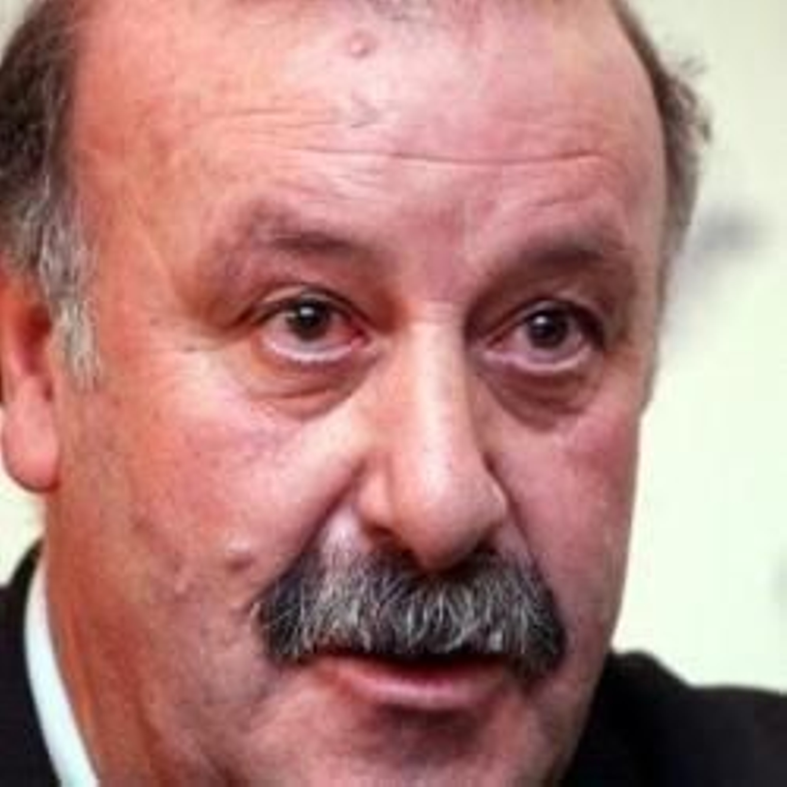 Vicente del Bosque.