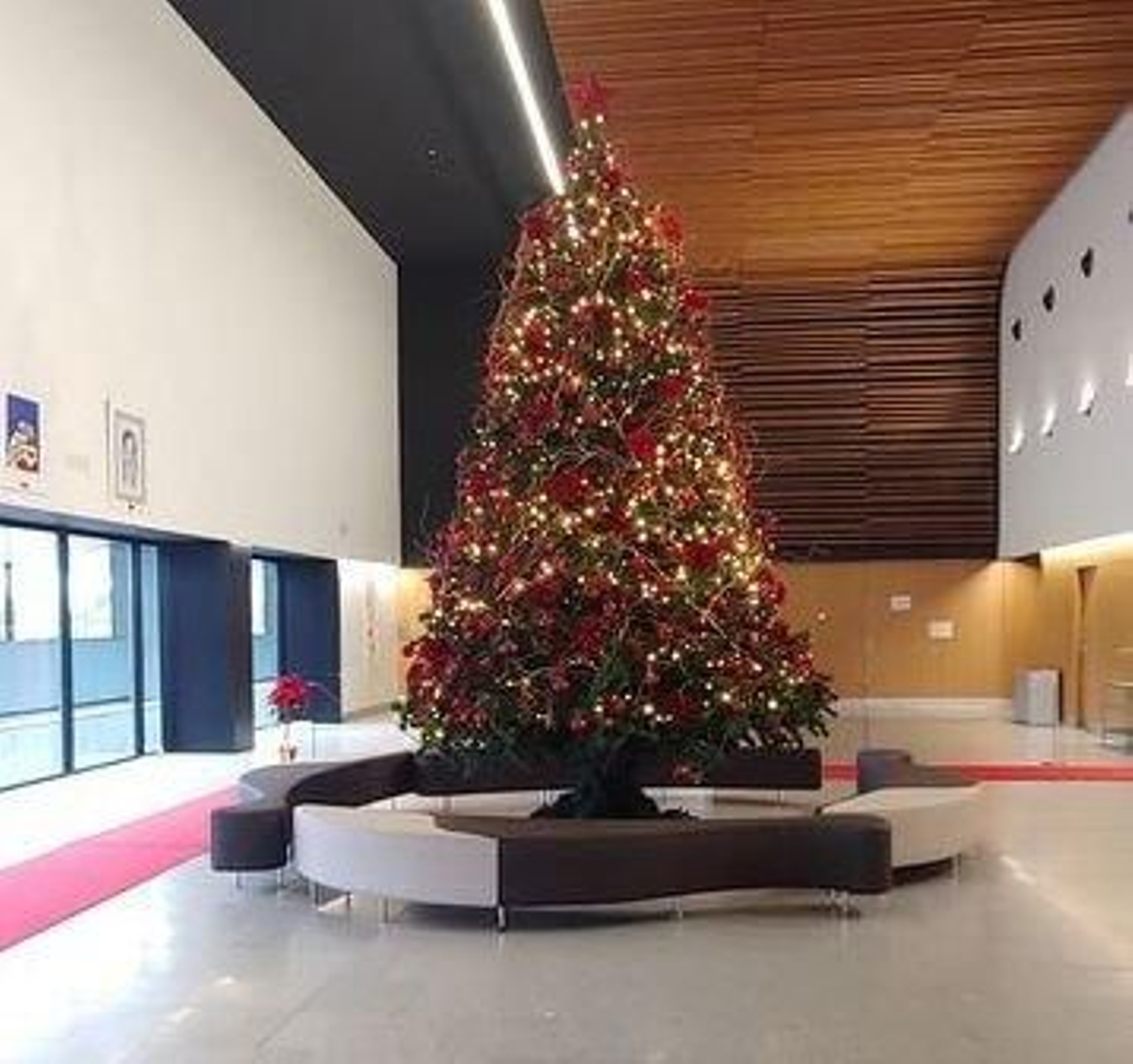 Un árbol de Navidad gigante preside desde hace días el vestíbulo principal del hospital