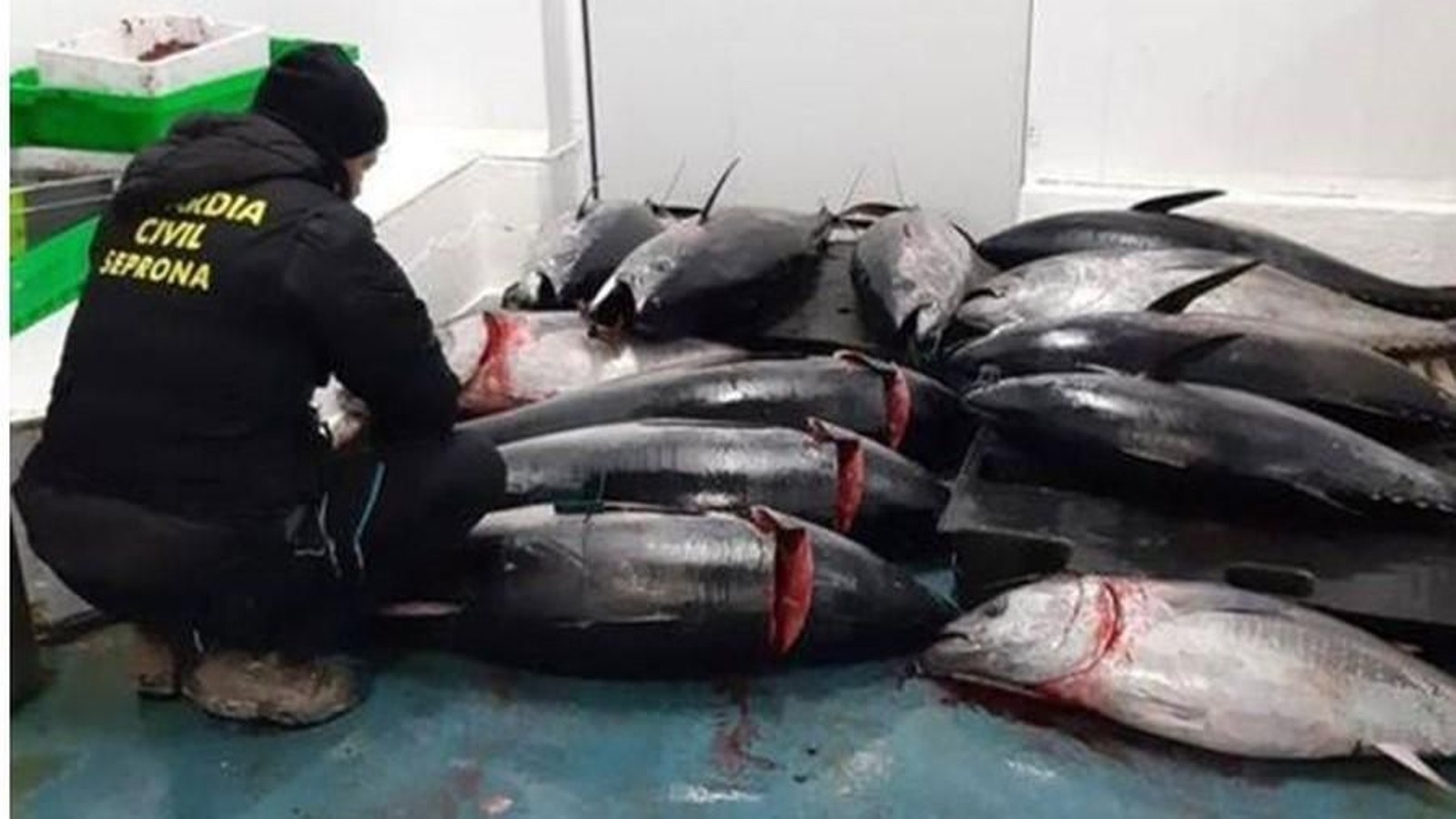 La inspección pesquera actual.