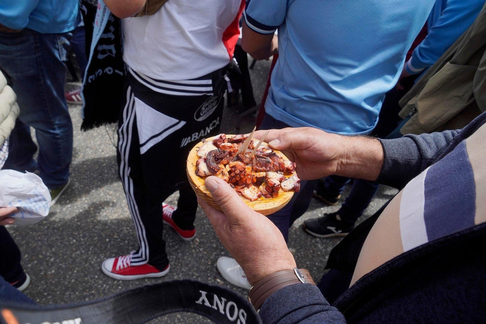 Pulpo para reponer fuerzas.