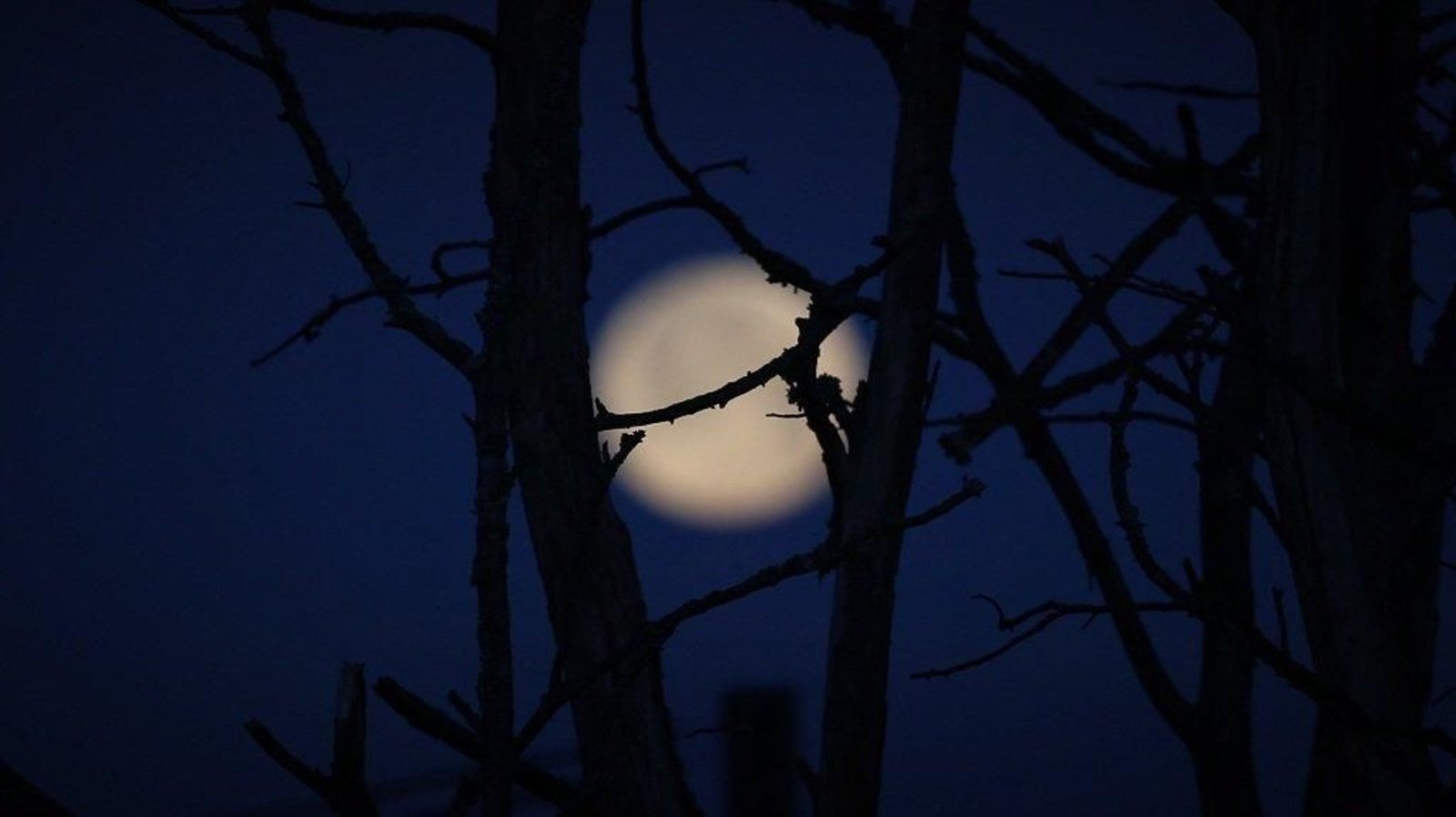 El eclipse total de Luna visto desde Vigo - Alberte  01