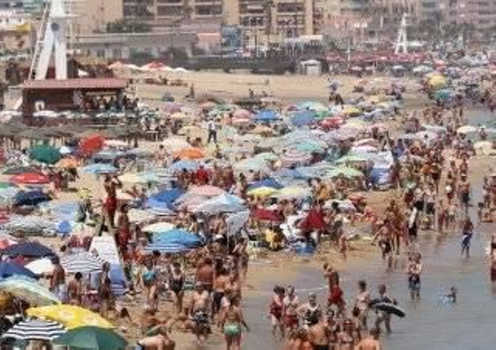 Aspecto que presenta una playa de Mallorca durante el verano.