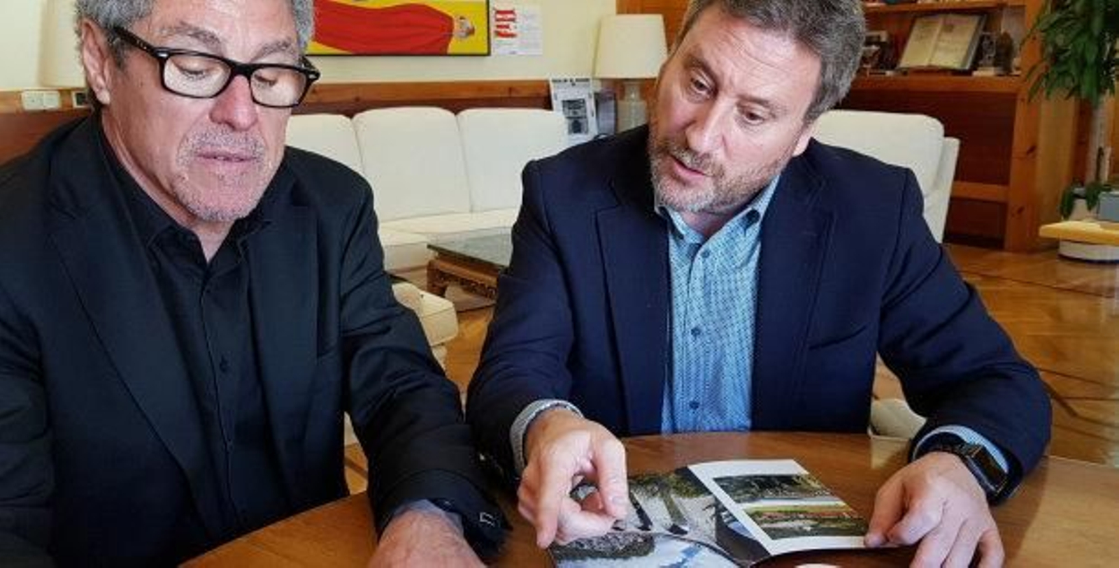 Aragón tren a Pau web